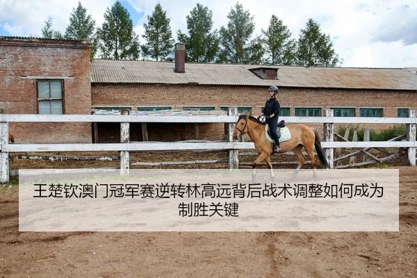 王楚钦澳门冠军赛逆转林高远背后战术调整如何成为制胜关键